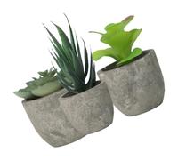 Sewroro Set 3 Bonsai Artificiali in Vaso Piante Finte Succulente Realistiche in Miniatura per Decorazione Interni Ufficio e Casa Piante Artificiali Resistenti e senza Manutenzione