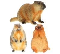 Sewroro Set 3 Pezzi Riproduzione Marmotta Realistica in Plastica Figurine Educative per Decorazione Casa Riproduzione Cognitiva Animale per Apprendimento e Gioco