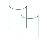 Sewroro Supporto per Piante da Giardino in Ferro Verniciato Paletto di Sostegno Resistente 40X25 CM Set 2 Pezzi per Coltivazione di Fiori e Piante da Balcone Adatto a Clematidi e