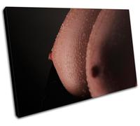 Sexy Female NUDES Erotic SINGLE TELA parete arte foto stampa