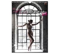 Sexy PinUp-Kalender 2026 (Wandkalender 2026 DIN A4 hoch), CALVENDO Monatskalender: Sexy Frauen Monatskalender