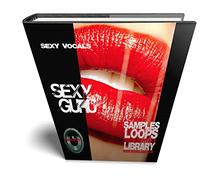 Sexy Vocal GURU - Grande originale Essential 24bit WAVE Campioni/Loop/Grooves Studio Library