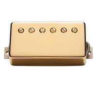 APH-2N SLASH ALNC II PRO HB GOLD COVER