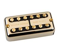 Seymour Duncan Micro PSY-HOT-B-G Cavalletto, Oro