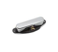 SEYMOUR DUNCAN Retro Antiquity for Telecaster Neck