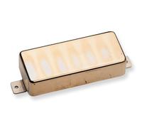 ANTQ II FOR FIREBIRD BRDG GLD CVR