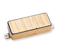 ANTQ II FOR FIREBIRD NECK GLD CVR