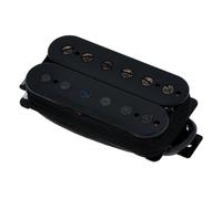 SENTIENT NECK BLK