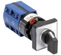 Sezionatore 10 A 2 x 60 ° Grigio, Nero Kraus & Naimer CG4.A210.FS2.F085 1 pz.