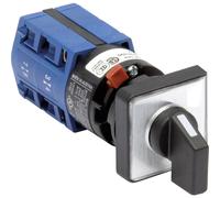 Sezionatore 10 A 2 x 60 ° Grigio, Nero Kraus & Naimer CG4.A210.FS2.F085 1 pz.