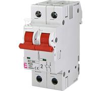 Sezionatore 40A SV 240 002423223