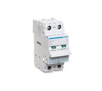 Sezionatore modulo 40A 2P SBN240 SBN