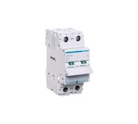 Sezionatore modulo 63A 2P SBN263 SBN