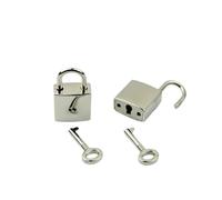 SFCNCVBTBX Mini lucchetti Archaize con chiave in dotazione for portagioie, scatola portaoggetti, diario, libro, valigia, colore oro e argento lucchetto(Bright silver)