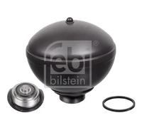 Accumulatore, sospensione, smorzamento FEBI BILSTEIN 38291