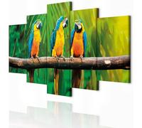 SFgFGfcghC Immagine Animale Pappagallo Astratto 200 x 80 cm XXL Set di 5 Pezzi Stampa su Canvas Art Decorazione murale Natura,L