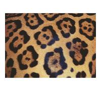 Sfida puzzle ravensburger: schema animali 1000 pezzi 1 St