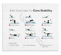 SFNGXXAG Cat Camel and Pelvic Bridge Exercises Poster Core Stability Workout Guide for a Strong Healthy Back Wall Decor(Unframed,12x18inch(30x45cm))