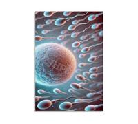 SFNGXXAG Sperm Fertilizing Egg Anatomy Poster, Biology of Human Conception Educational Chart, Science Classroom Wall Art Canvas (Framed,12x18inch(30x45cm))