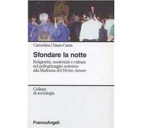 Sfondare la notte. Religiosità e cultura nel pellegrinaggio notturno alla Madonna del Divino Amore