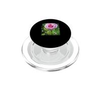 Sfondi Gocce Di Pioggia Su Rose Pittura Acquerello Fiore PopSockets PopGrip per MagSafe