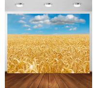 Sfondo autunnale con vendemmia, 3,7 x 3 m, sfondo autunnale con campo di grano dorato e cielo blu, sfondo per feste in fattoria, sfondo per baby shower, ritratti di matrimoni e servizi fotografici
