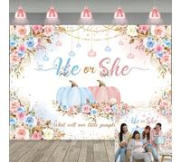 Sfondo autunnale con zucca e scritta in lingua inglese "He or she what will our little pumpkin be", sfondo fotografico per bambino o ragazza, baby shower, sesso, rivelazione di genere, decorazione per