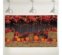 Sfondo autunnale della raccolta della zucca, decorazione rustica autunnale con foglie d'acero, sfondo fotografico del Ringraziamento per celebrazioni stagionali, eventi interni/esterni, forniture per