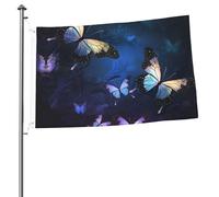 Sfondo con farfalle notturne Bandiera 2x3 Ft Stampa su entrambi i lati Bandiera da giardino Bandiere di benvenuto per esterni Bandiera della casa Bandiera all'aperto Banner segni per interni Cortile