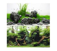 Amtra Sfondo Amazzonia - 100 x 45 cm