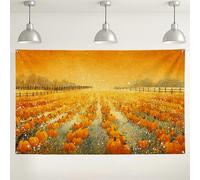 Sfondo fotografico con campo di zucca, raccolta autunnale con scena naturale, accogliente decorazione per feste autunnali e riunioni del Ringraziamento, 180 x 109 cm