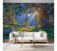 Sfondo Fotografico Scena Tranquilla Nella Foresta 450×315Cm Sfondo Salotto Camera Da Letto Corridoio Decorazione Murali Decorazione - Luce Sole Filtra Attraverso Cime Degli Alberi Proiettando Ombre