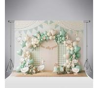 Sfondo Kate One Silly Goose 6.5x6.5ft/2x2m Verde salvia Arco di palloncini con margherite Sfondo fotografico a quadretti per baby shower Compleanno bambini Servizio fotografico studio fotografico