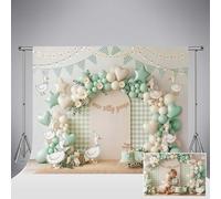 Sfondo Kate One Silly Goose 7x5ft/2.2x1.5m Verde salvia Arco di palloncini con margherite Sfondo fotografico a quadretti per baby shower Compleanno bambini Servizio fotografico studio fotografico