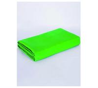 Sfondo professionale con schermo verde Chroma Key per la rimozione dello sfondo senza interruzioni in riunioni zoom, streaming live e studi video fotografici