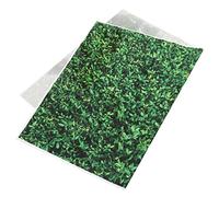 Sfondo Verde per Fotografia per Shower Compleanni e Eventi Facile e Riutilizzabile Riflessioni