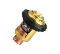 SFWWPFSKK Termostato Universale 6G8-12411 66M-12411-00 66M-12411-01 6G8-12411-00 Compatibile con Motori a Quattro Tempi 2,5 CV 4 CV 8 CV 15 CV 30 CV 40 CV 50 CV 60 CV 70 CV 80 CV