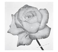 Sg - For Lovers Only/Rain Suite