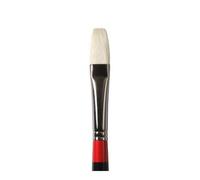SG istruzione Goc 283048010 Gog lungo piatto spazzola con setole, G48 - 2, 10 Dimensioni
