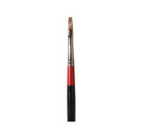 SG istruzione Goc 283060004 Gog Sable Bright Paint Brush, G60 - 2, 4 dimensioni