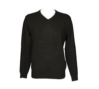 SG Maglia uomo DATCH pullover manica lunga scollo v misto viscosa articolo DM271