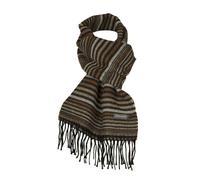 SG Sciarpa donna invernale lana e acrilico righe PIERRE CARDIN articolo JC3563 m