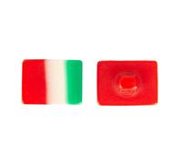 SG Set 12 bottoni rettangolari in plastica mm.16 x 10 x 6 mm bandiera italiana a