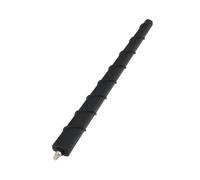 SG Store Antenna per Auto M6 51910790 52019353 Compatibile con Fiat 500X 500L 2012-2019 20CM