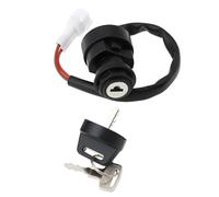 SG Store Blocco accensione Quad Bikes 2 Pin con 2 chiavi compatibile con Yamaha YFM 250 350 660 700 Raptor