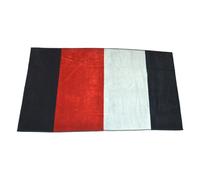 SG Telo mare TOMMY HILFIGER piscina spa spugna di cotone con stampa cm.180x100 (