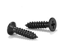 SG TZH - Vite per legno, 1000 pezzi, 18-8 (304), viti in acciaio inox, testa piatta Phillips a testa piatta, autofilettanti, viti per cartongesso, ossido nero