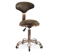 Sgabello da lavoro rotante Salon Beauty, con schienale - Sedia da trucco da barbiere per parrucchiere regolabile con puleggia - Sgabello di sollevamento vintage