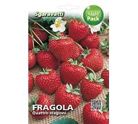 SGARAVATTI Busta Semi Orto Fragola Quattro Stagioni