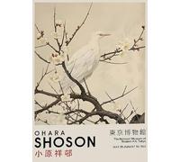SGFGAD FHYWQ Giappone Ohara Koson Poster Stampe A Colori Immagine Astratta Di Arte Della Parete《Uccelli Sull'albero》Ohara Koson Pittura Su Tela Per Arredamento Salotto 40x60cm Senza Cornice